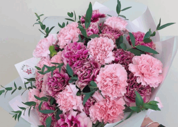 Как оформлять букеты из гвоздик и несколько рекомендаций