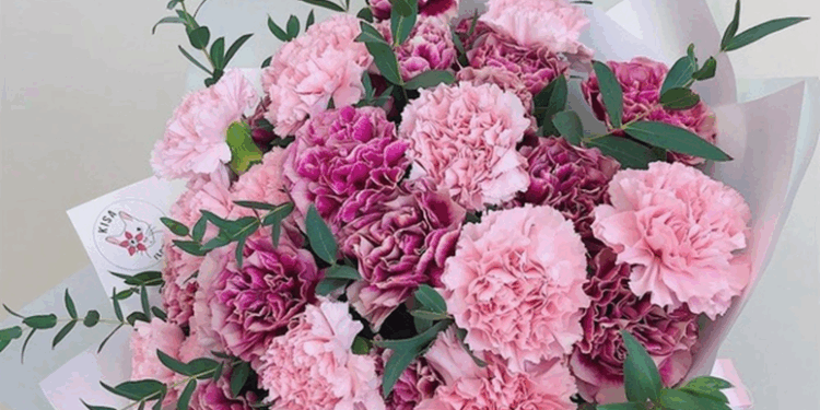 Как оформлять букеты из гвоздик и несколько рекомендаций