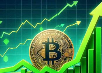 Какая криптовалюта станет лидером роста в новом году и удивит всех инвесторов