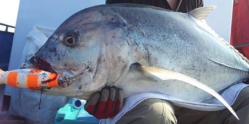 Поппинг на Бали: сетап под GT и стикбейт — настройка фрикциона, узлы и проводка, чтобы выдержать первый удар у рифа в струе