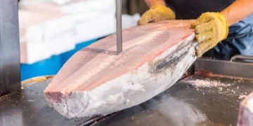 Как выбрать ленточную пилу для мяса: полное руководство для профессионалов